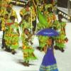TimVan Opening Parade