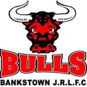 Bulls 170