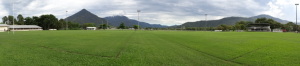 Alley Park Fields