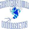 Eastern Hills Basketball Association