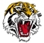 Bomaderry Seniors AFC