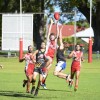 The Coffs Swans were a step ahead of Grafton on their way to a solid 51-point victory. Photo: Debrah Novak/Daily Examiner