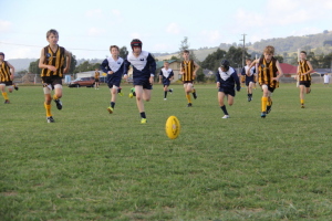 Home Page  Warragul Blues Junior Football Club  FOX SPORTS PULSE