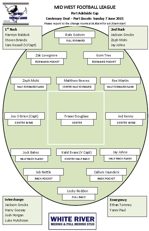 Afl Football Team Sheet Template