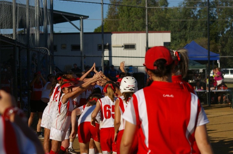 News Brisbane Softball Association SportsTG