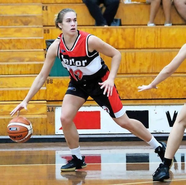 Home Diamond Valley Basketball Association SportsTG