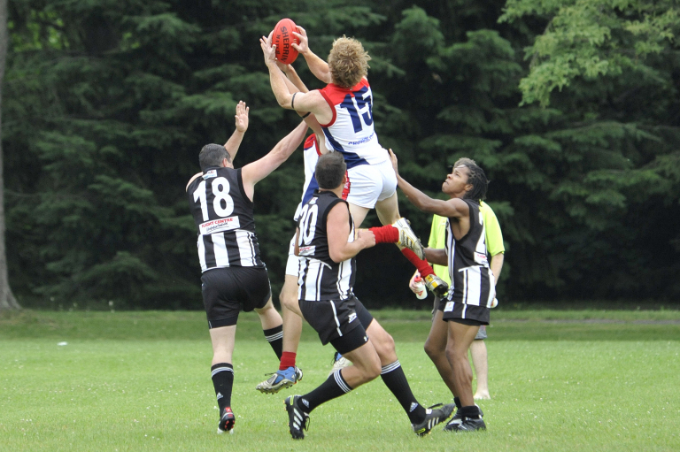 high park demons australian football club