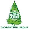Giorgio Tesi Group Pistoia