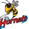 Hornets Softball Club
