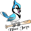Blue Jays Softball