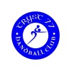 Tryst 77 Handball Club
